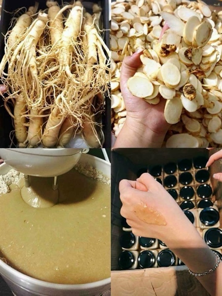 [HCM]Nạ Mask Sâm tươi