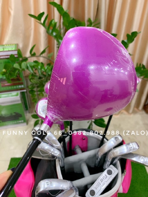 Bộ Gậy Golf Nữ Cho Người Mới Chơi  Pgm