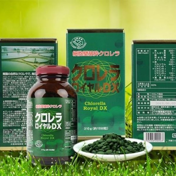 [HCM]Tảo lục hoàng gia Chlorella Royal DX