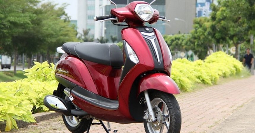 [CÓ MÃ MIỄN PHÍ VẬN CHUYỂN 29K] Lưới lọc xăng SE cho xe NOZZA