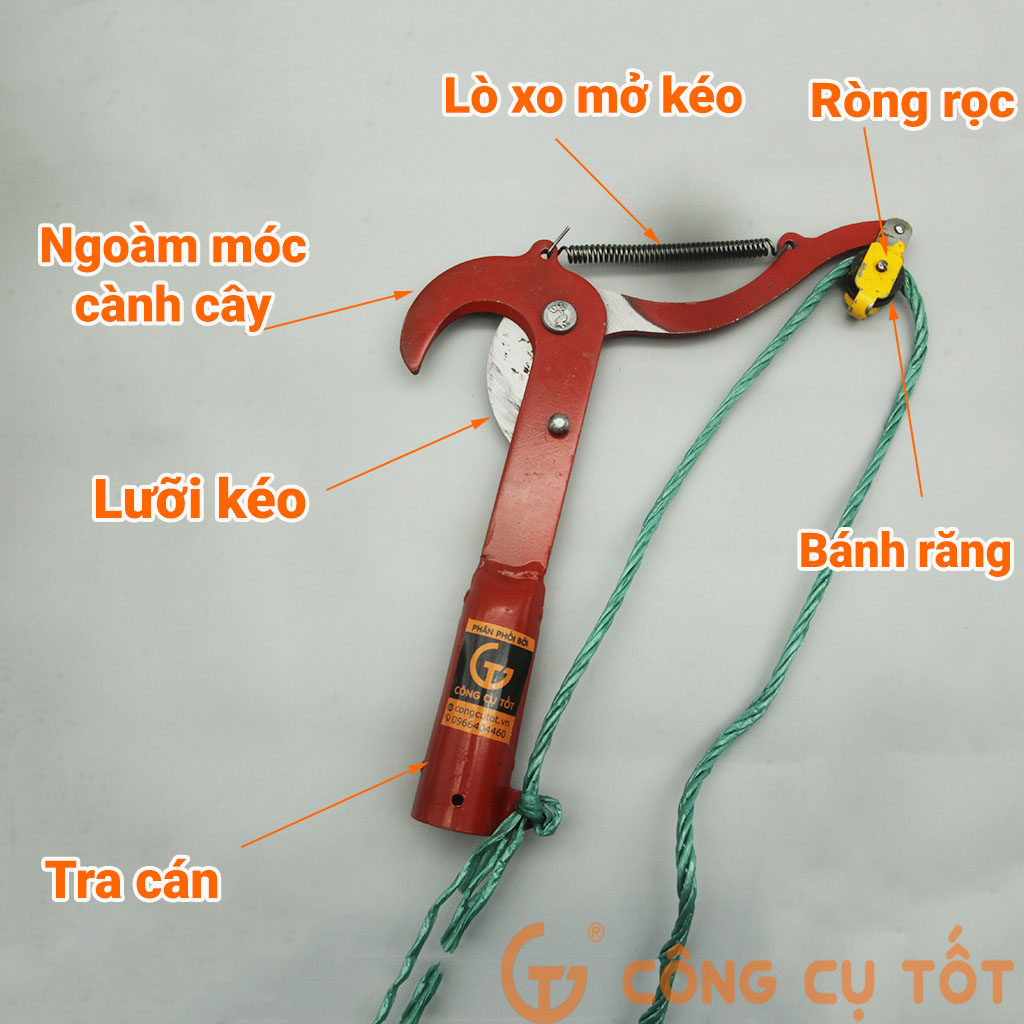 Đầu kéo cắt cành trên cao