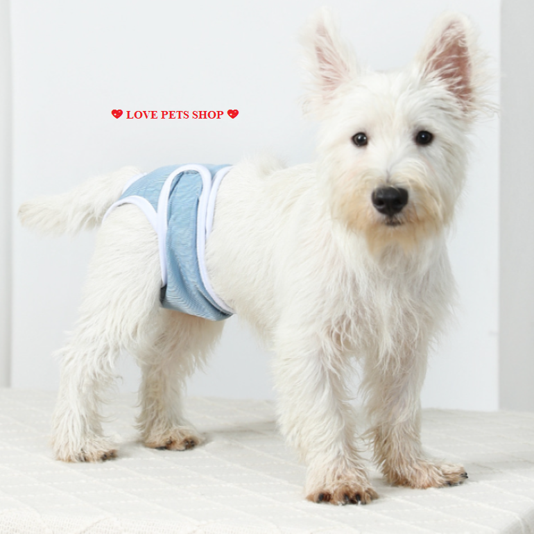 Quần sinh lý cho Chó Mèo Hipidog - Love Pets Shop