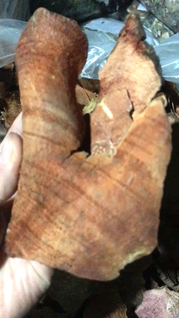 Thổ phục linh khô 1kg