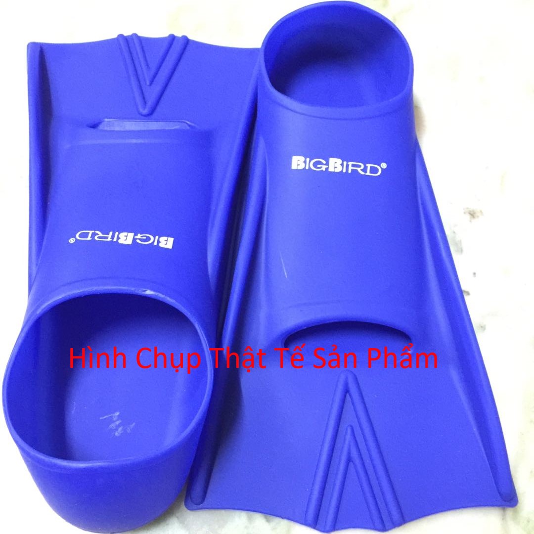 Chân vịt bơi lội BIGBIRD