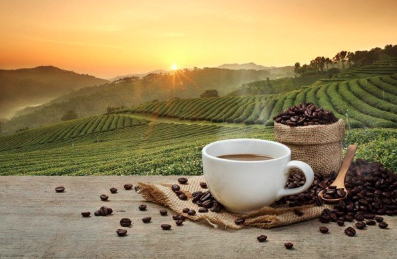 Di Linh turning coffee 500g