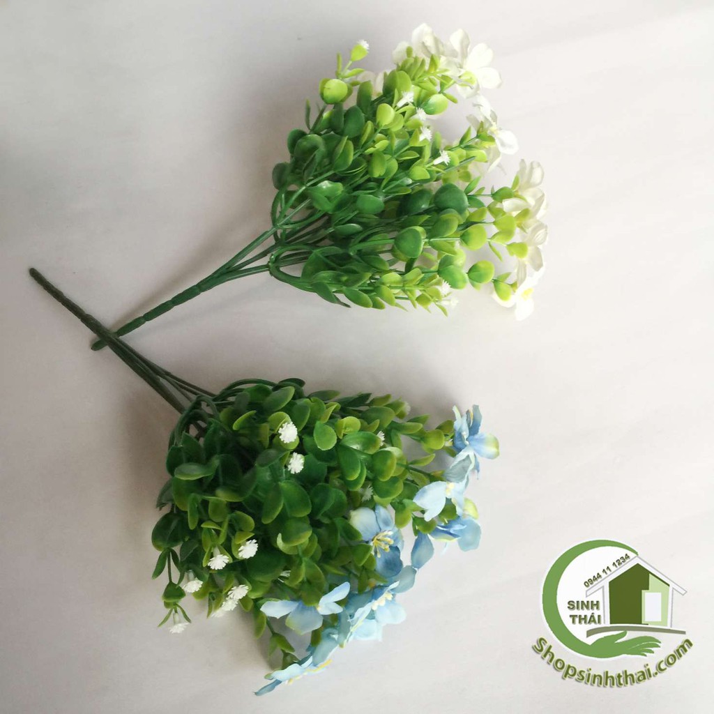[HCM]Bụi cây hoa lài tây cao 33cm - chọn màu