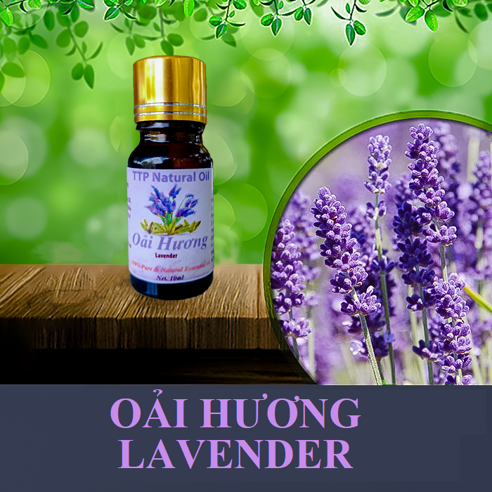 Tinh dầu oải hương (lavender)
