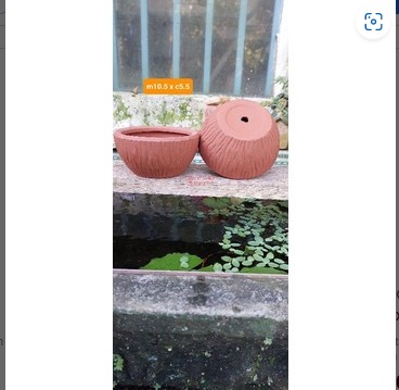 Chậu đất nung bình dương chén m11.5 x c5.5