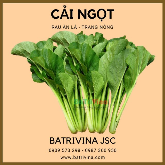 [HCM]Gói 20Gr Hạt Giống Cải Ngọt Trang Nông Dễ Trồng