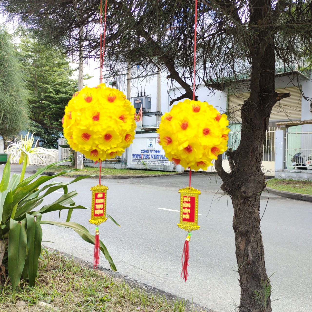 Quả cầu hoa mai trang trí tết (nhiều size) 13CM