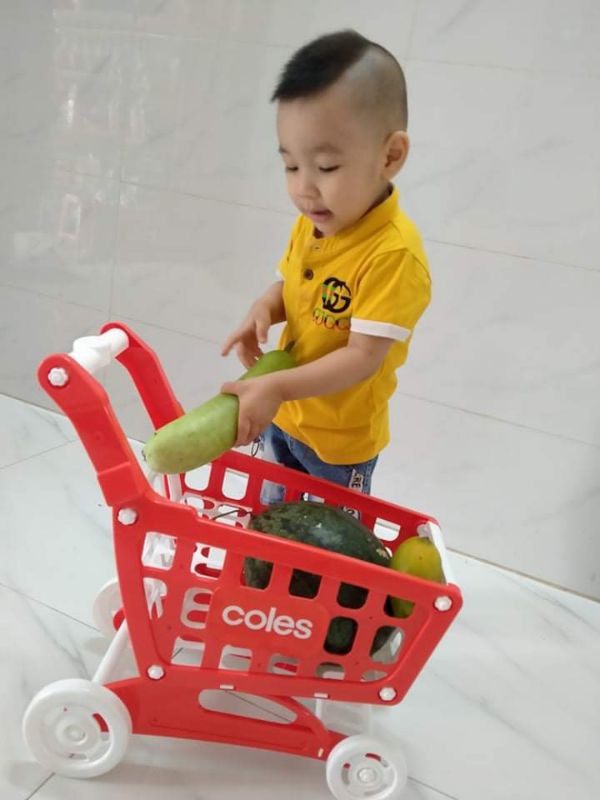 XE ĐẨY SIÊU THỊ COLES