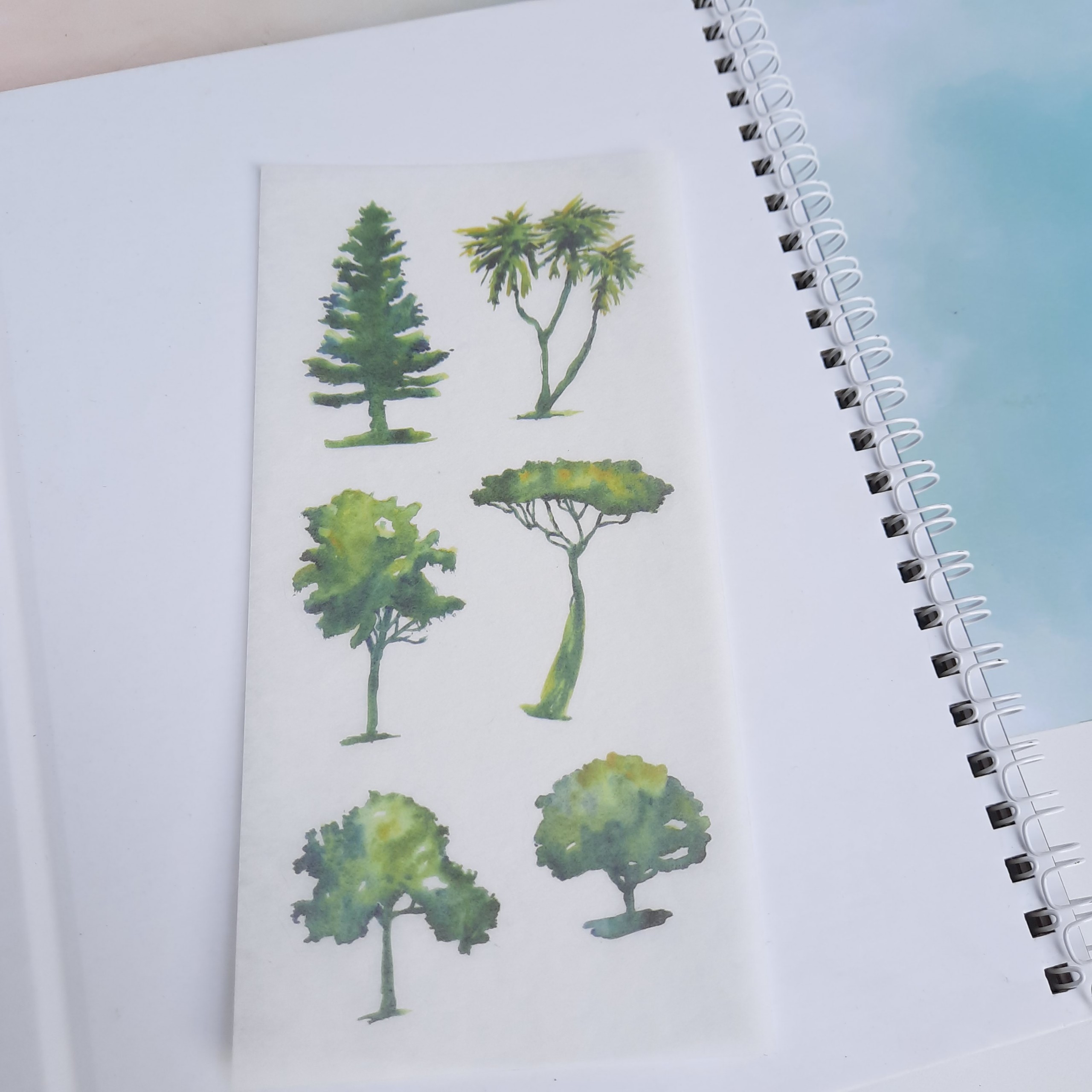 [HCM]Bộ 6 Tấm Sticker Cây Xanh