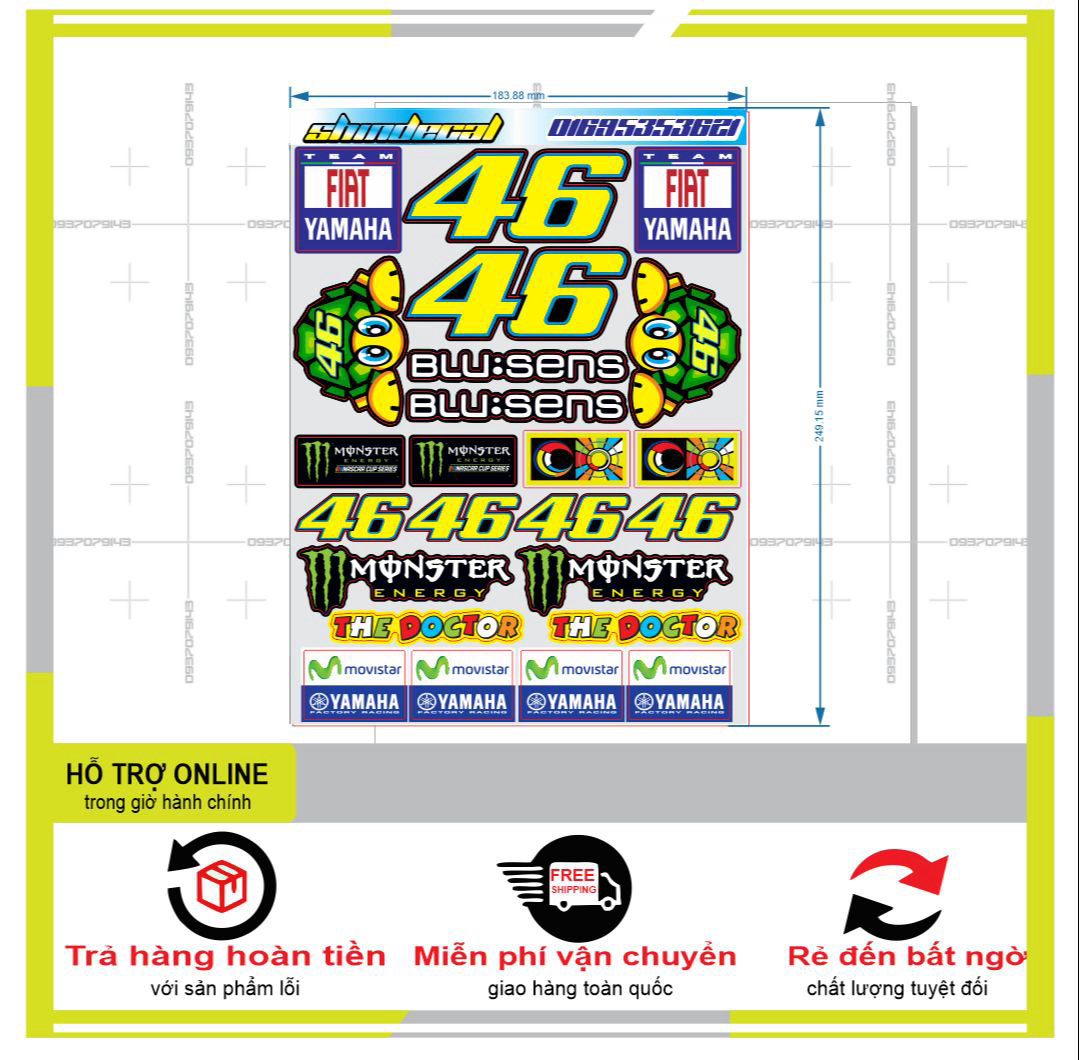 Logo sticker con rùa 08