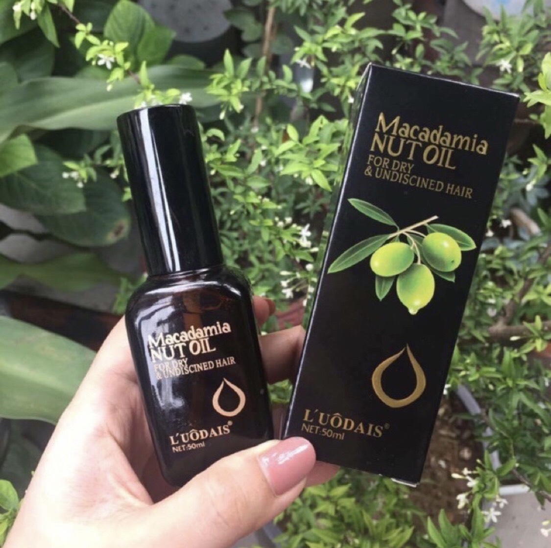Tinh Dầu Dưỡng Tóc Macadamia Nut Oil Oliu 50ml