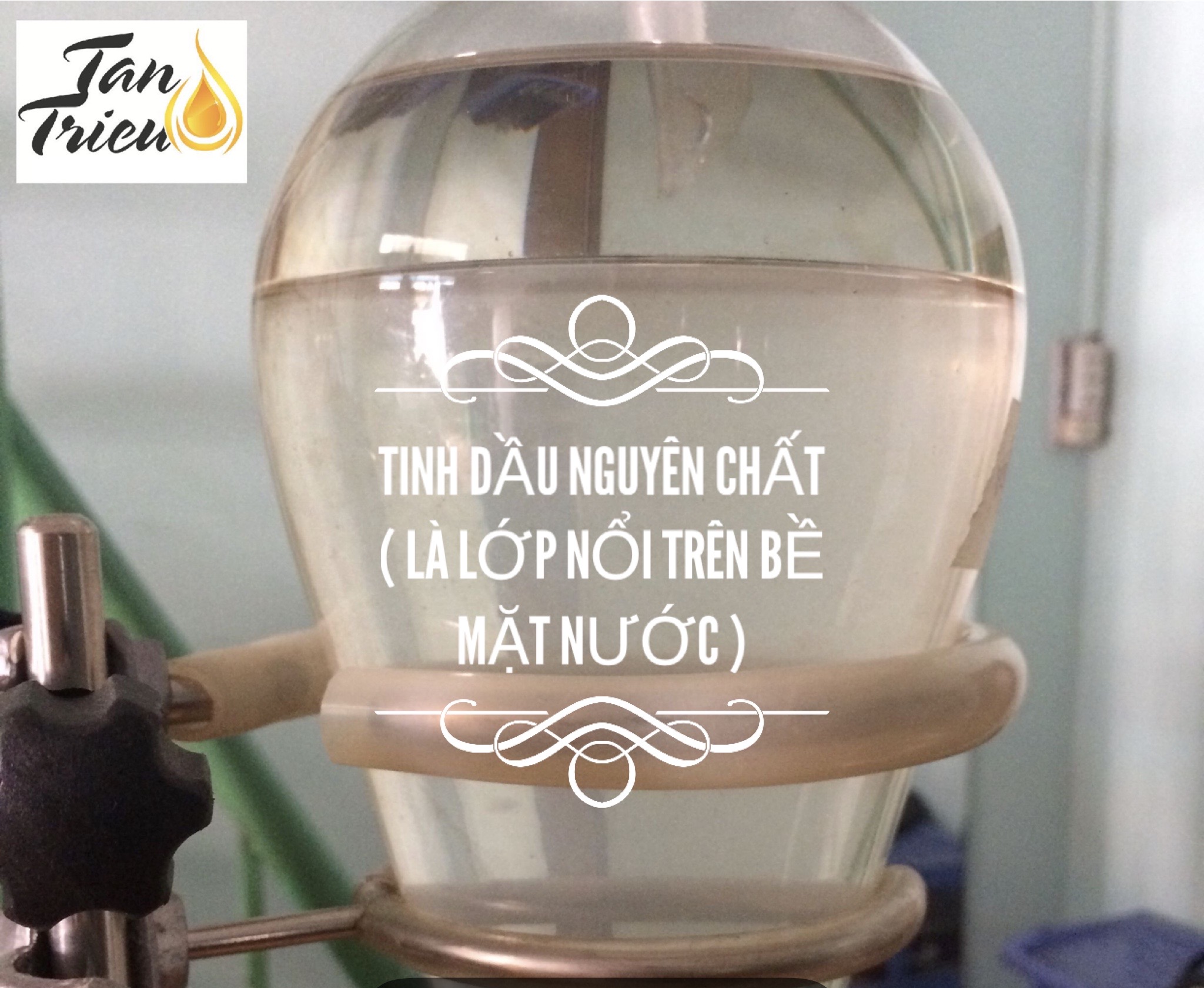 Tinh dầu Vỏ Cam - TANTRICO ( 10ml )