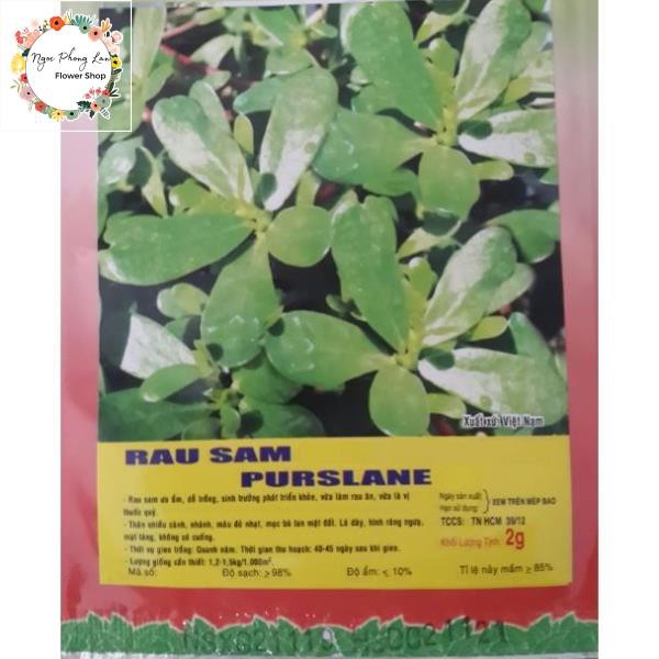 Giống Rau Sam, Rau Sam, Sam Đất - Gói 2 Gram