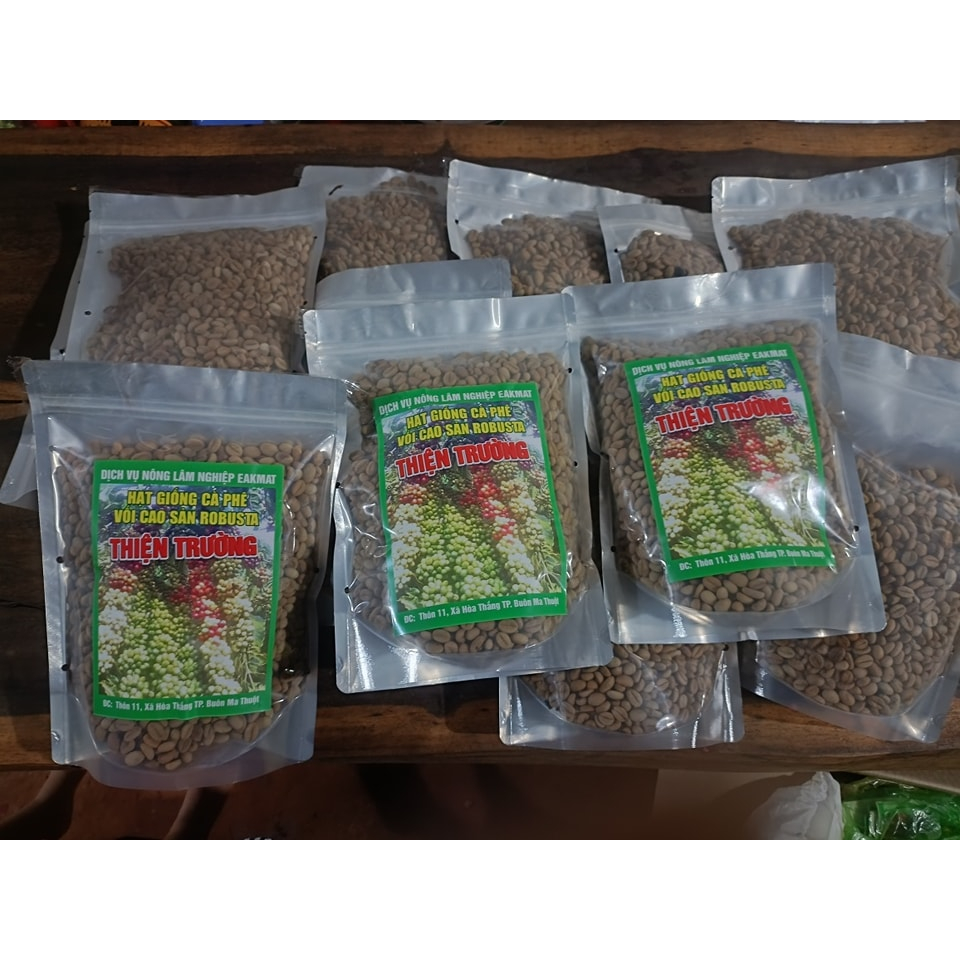 1kg HẠT GIỐNG CÀ PHÊ TR9