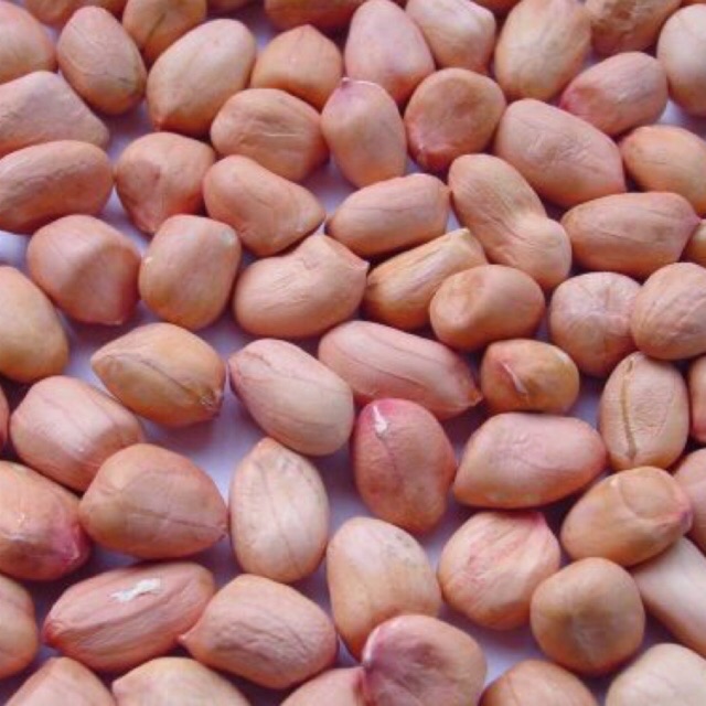 Đậu phộng sống (đậu Quế) 1kg loại 1