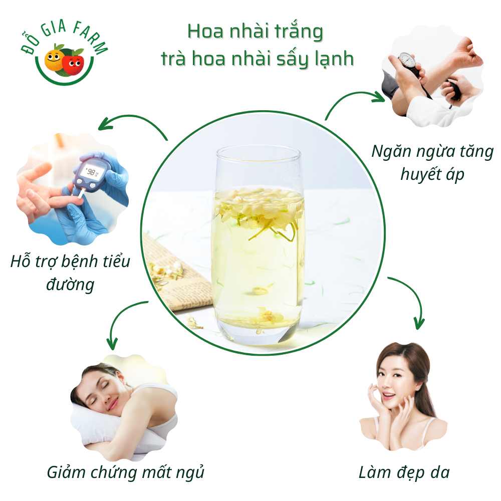 Hoa nhài trắng - trà hoa nhài sấy lạnh (20, 50gr)