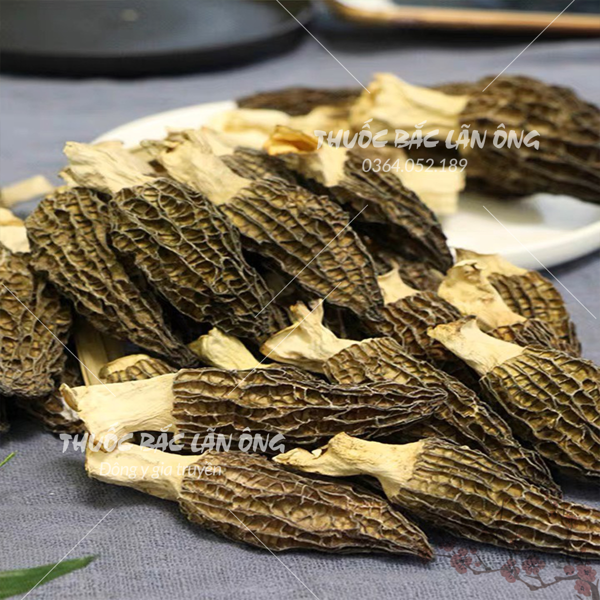 Nấm bụng dê khô 10g, thịt dày, size to, nấm hầm canh, nấu lẩu thơm ngon,  tốt cho sức khỏe - Lãn Ông