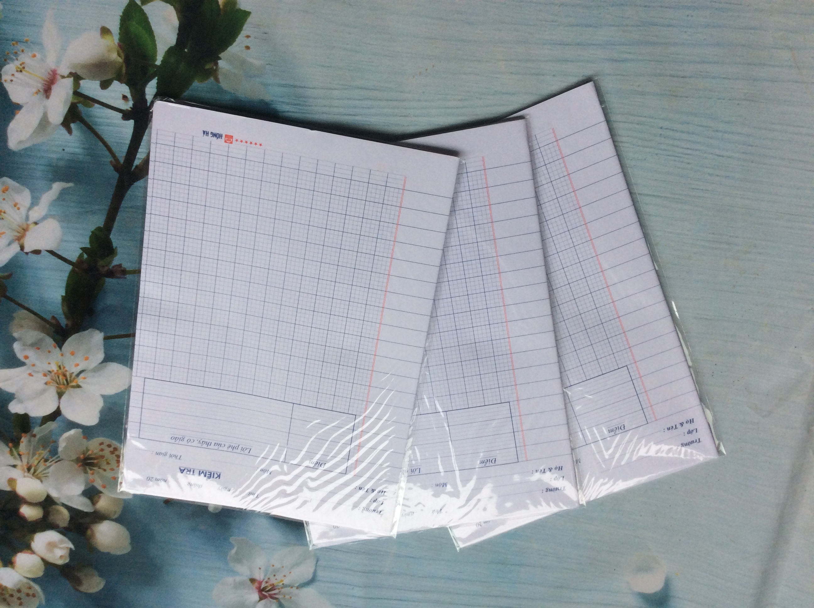 1 Túi Giấy kiểm tra cấp 1,cấp 2 HH ( 1 Túi = 10 Tập )