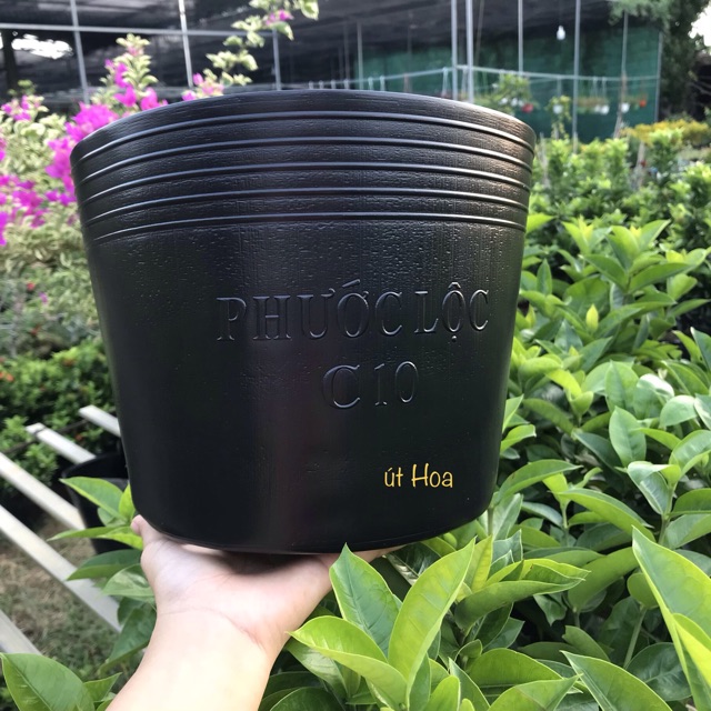 Combo 100 Chậu Nhựa Đen C10 (25x20cm) trồng cây