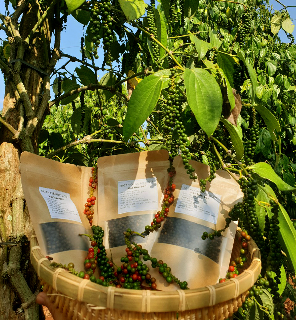 Hạt tiêu đen loại 1 100gram