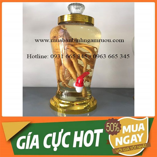 Bình Ngâm Sâm Thủy Tinh Có Van 5 Lít - Hũ Ngâm Sâm 5 Lít