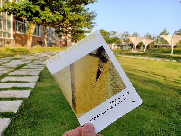 MÔ HÌNH DA luyện tập Tiêm truyền dịch Y TẾ