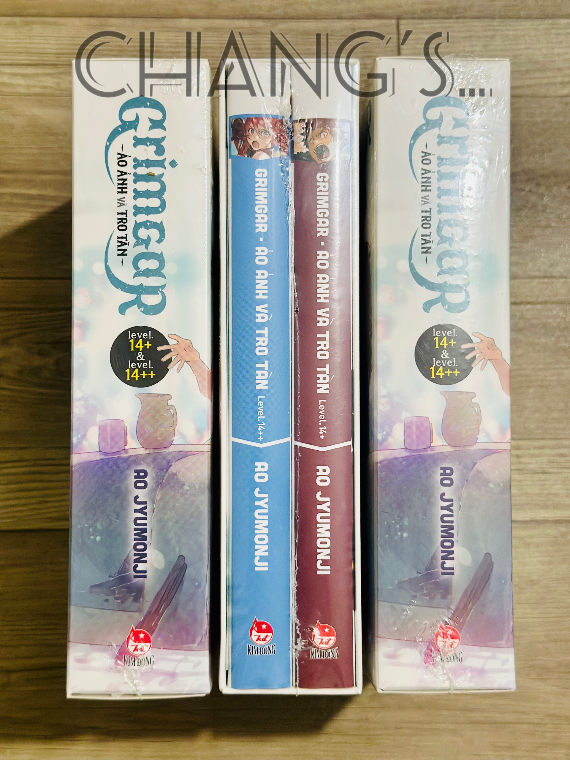 Truyện Grimgar - Ảo Ảnh Và Tro Tàn (Chang Book)