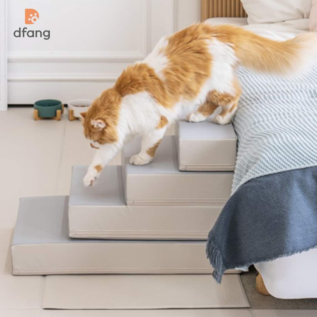cầu thang cho thú cưng - dog stair - dog step