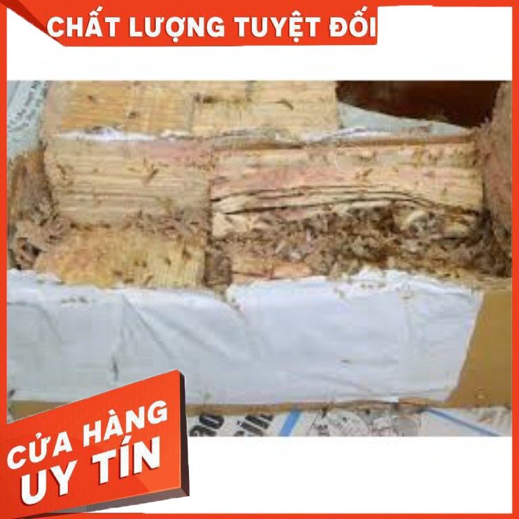 Hộp nhử mối