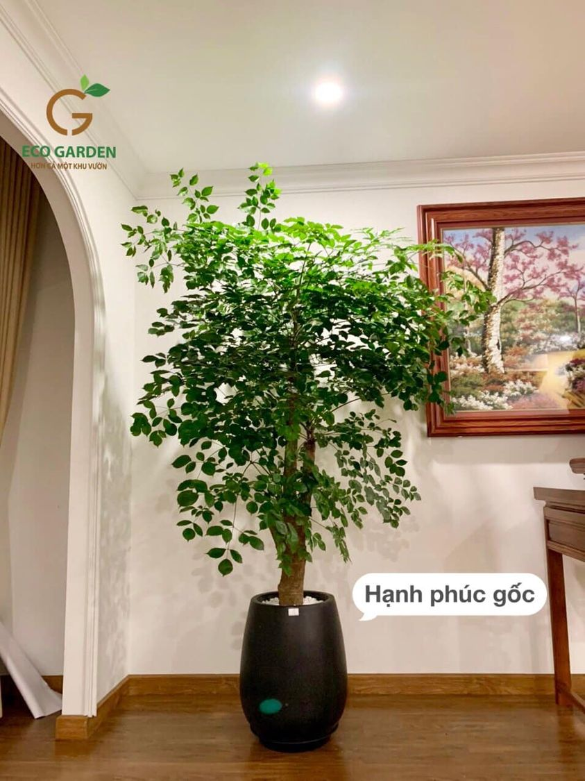 Chậu xi măng đá mài giọt nước to