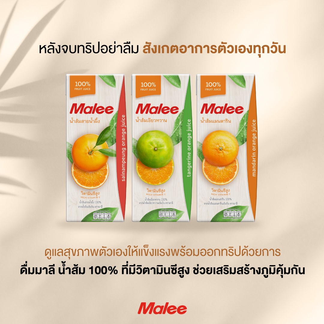 Nước Ép Quýt Malee 200ml - Nhập Khẩu Thái Lan | Malee 100% Mandarine Orange Juice 200ml