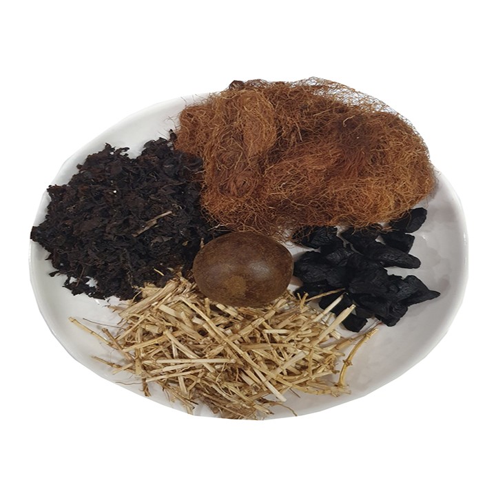 [Quà Tết 2022] SÂM RONG BIỂN GIẢI NHIỆT 1 GÓI NẤU 5 LÍT NƯỚC