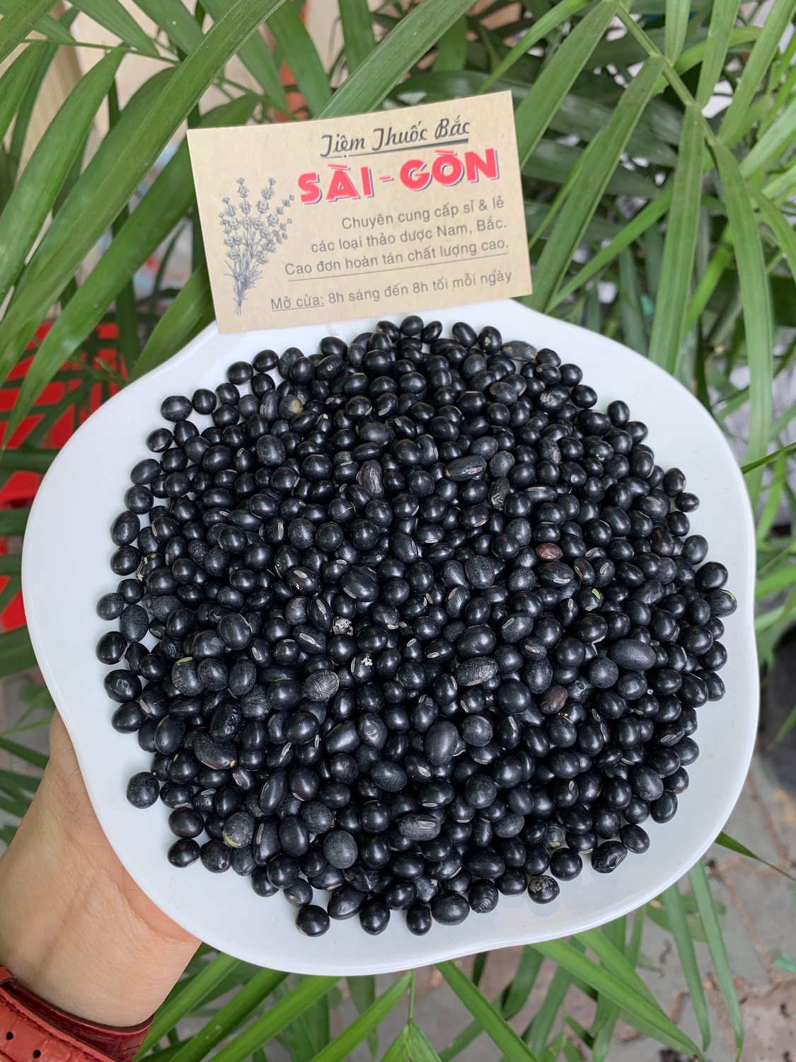 [HCM]Đậu Đen Xanh Lòng Đã Rang Thơm Hạt To Tròn 500g