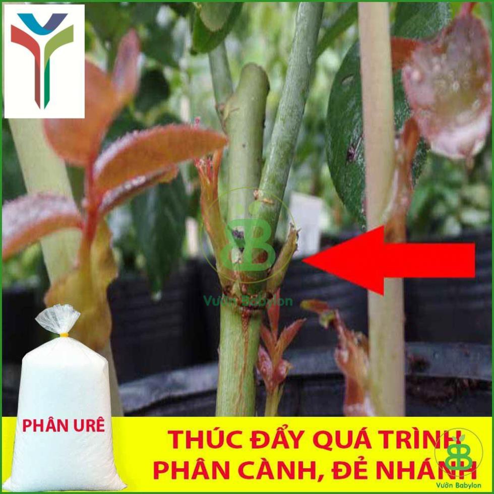 Phân Ure (Đạm) 1kg