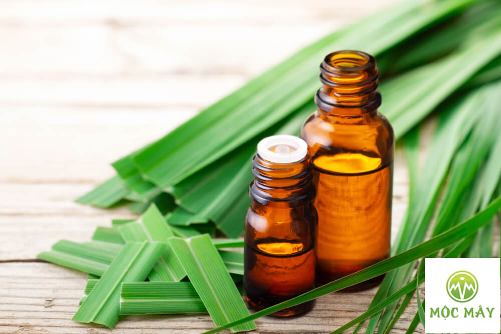 10ml - 100ml Tinh Dầu Sả Java (Citronella Essential Oil) - Nguyên Liệu Mỹ Phẩm