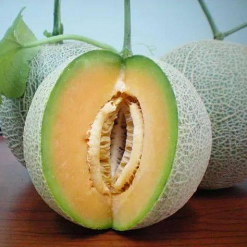 Hạt Giống Dưa Lưới Vỏ Xanh - 10 hạt/gói