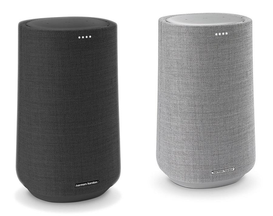 Loa bluetooth Harman Kardon Citation 100 (loa cũ đã qua sử dụng)