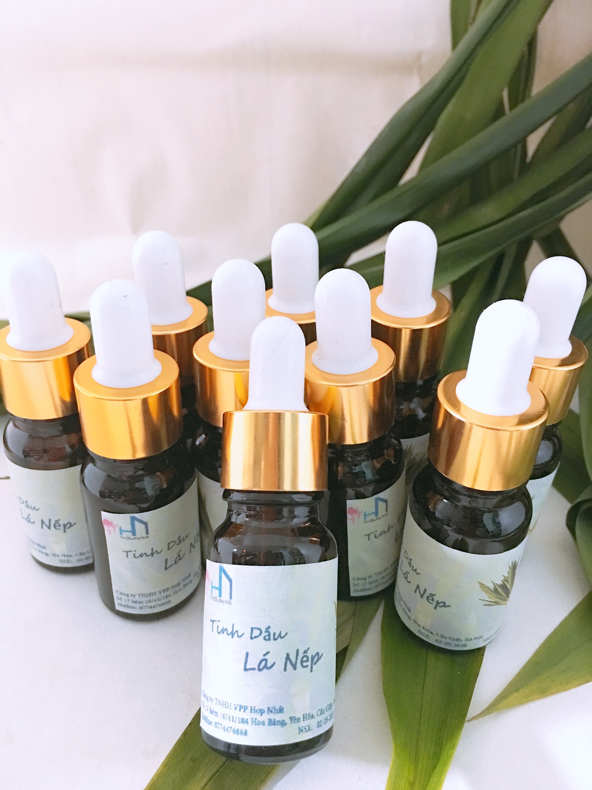 Combo 03 Lọ Tinh dầu Lá Nếp thơm 10ml