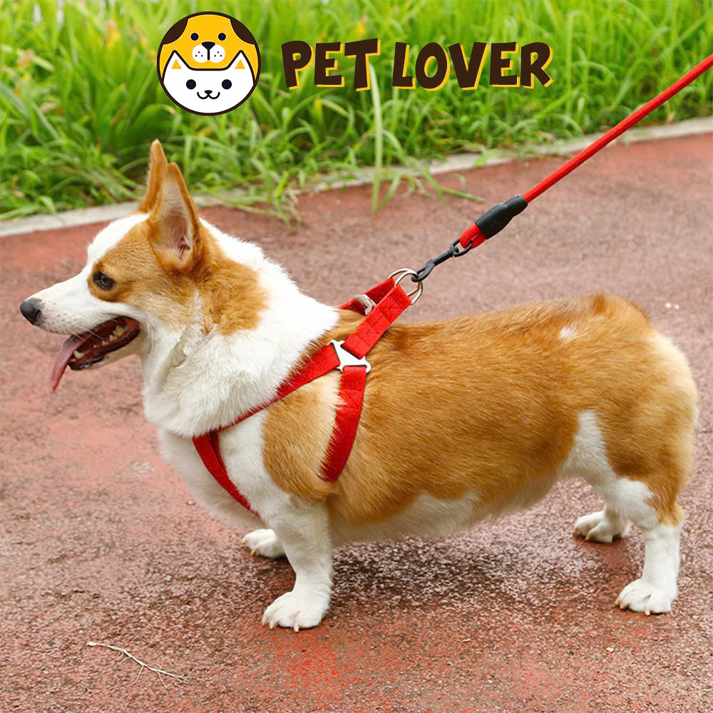 Dây dắt chó yếm dắt chó mèo chắc chắn siêu cute - Petlover