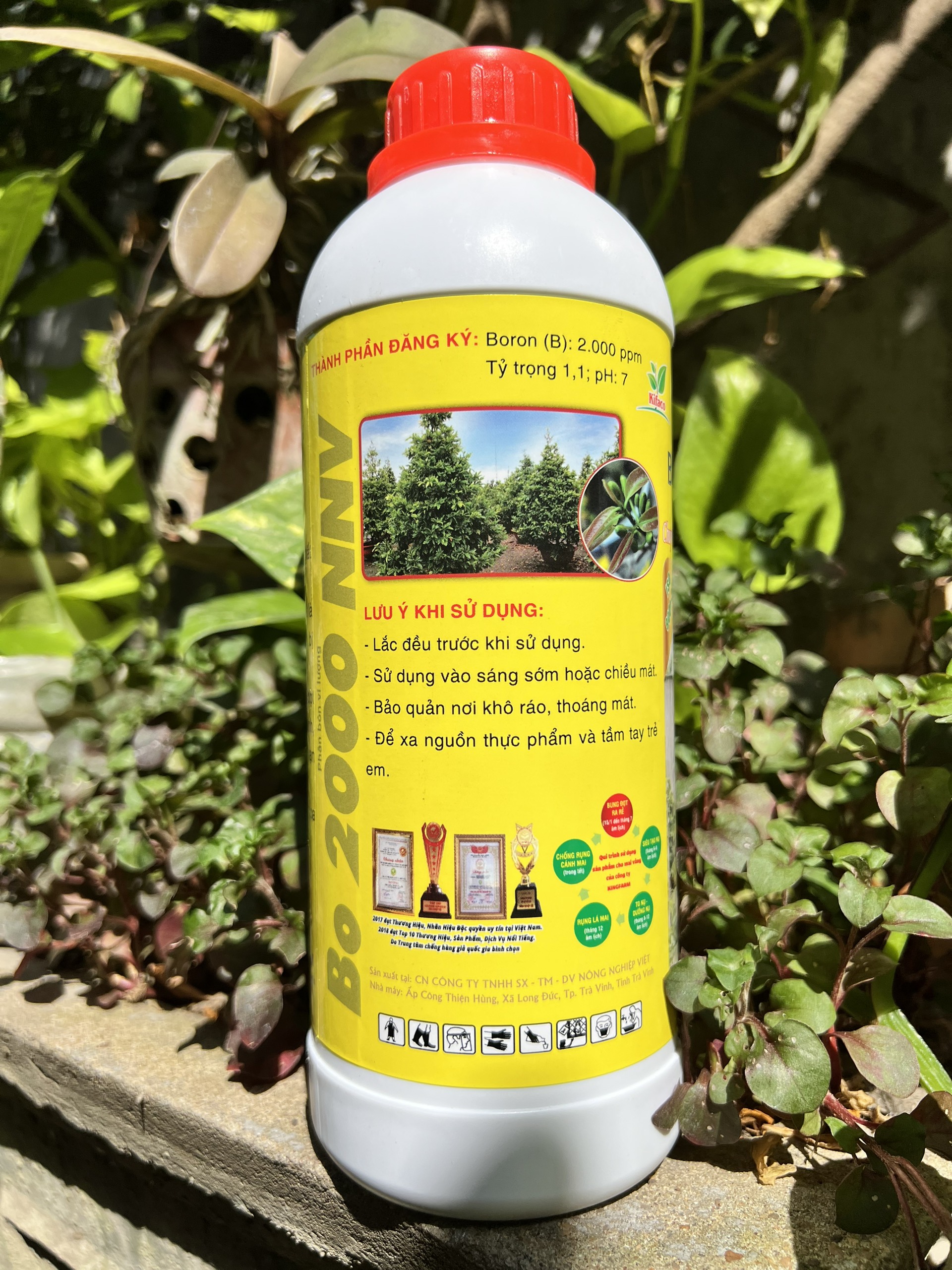 Phân Bón Chuyên Mai Vàng Max Root Bung Đọt Ra Rễ Chai 1 Lít