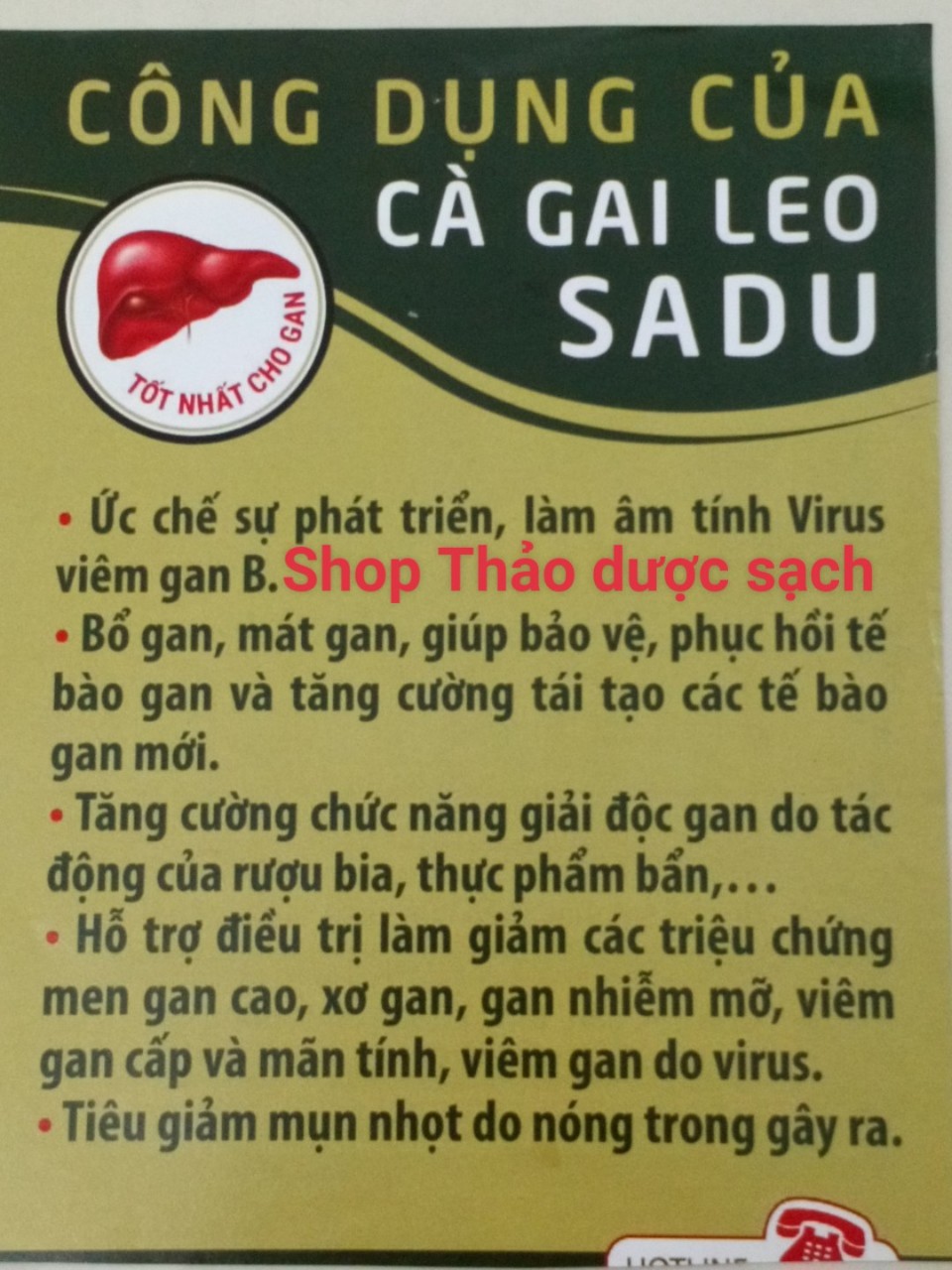 5KG TRÀ TÚI LỌC CÀ GAI LEO SADU