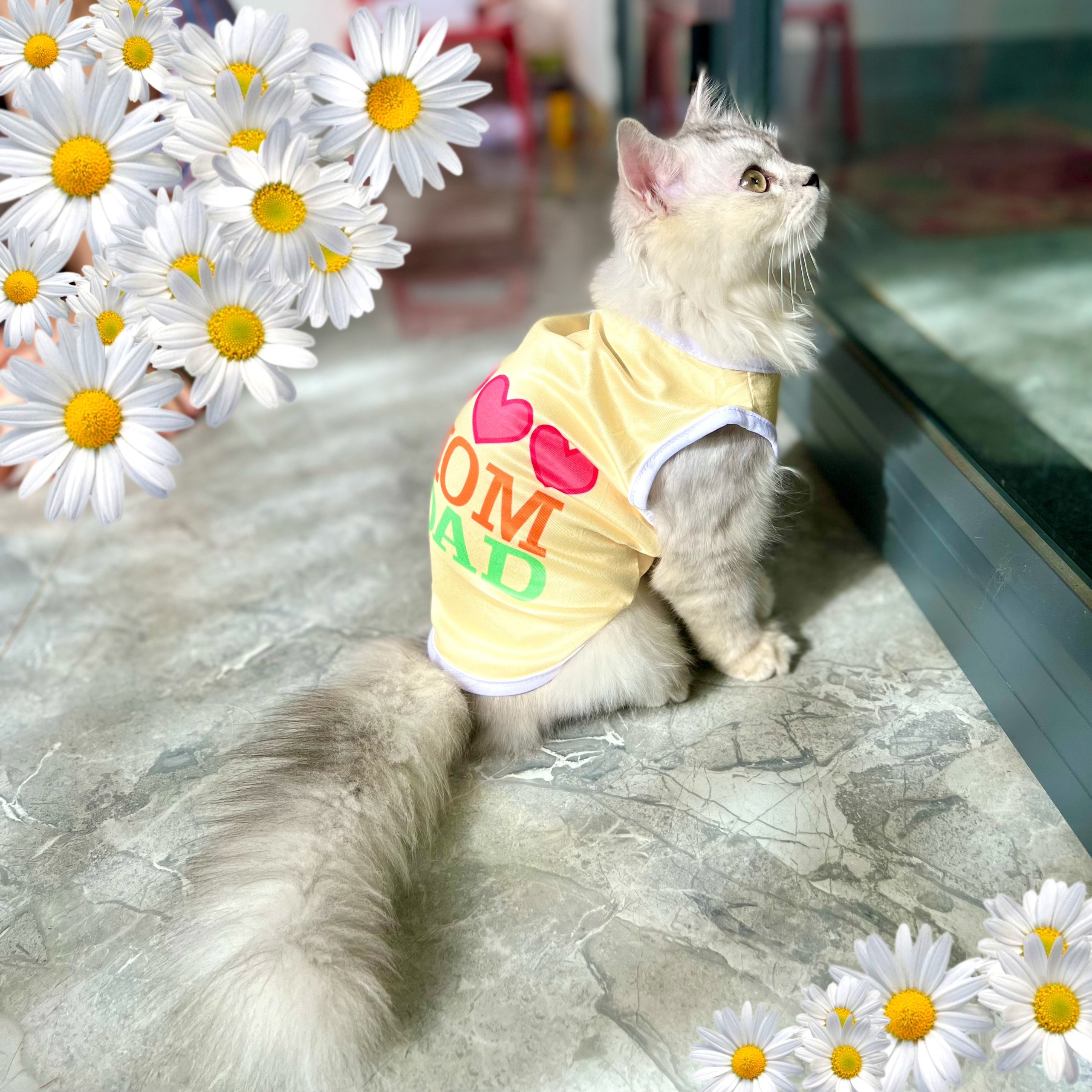 Áo Thun Cotton Sát Nách Cho Chó Mèo Dễ Thương