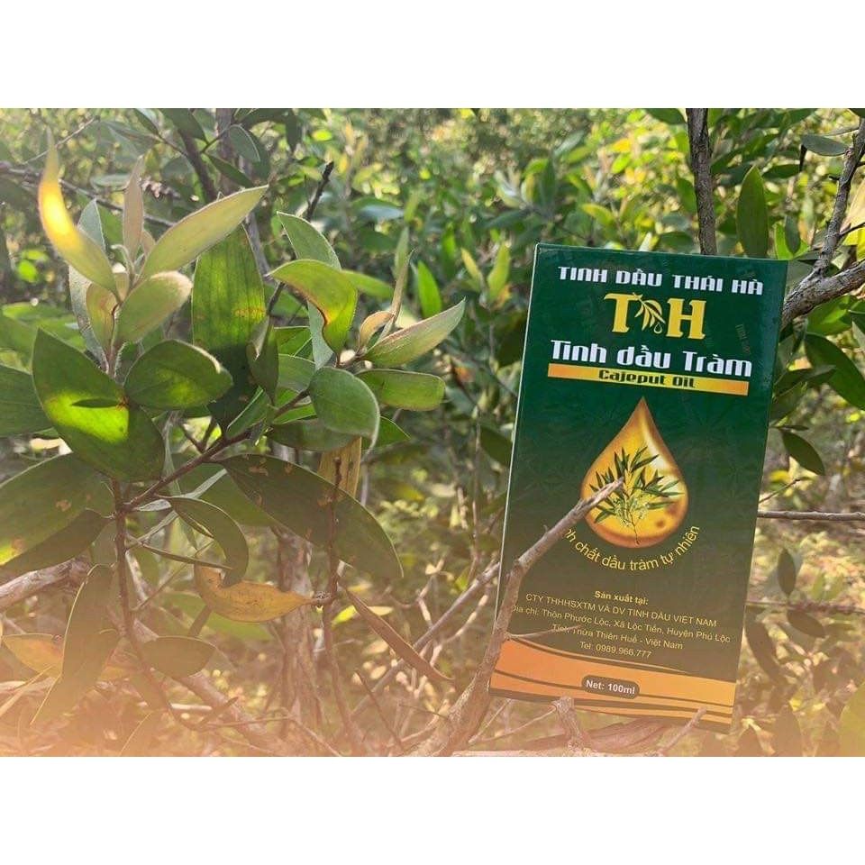 [HCM]Tinh dầu tràm Thái Hà - 100ml