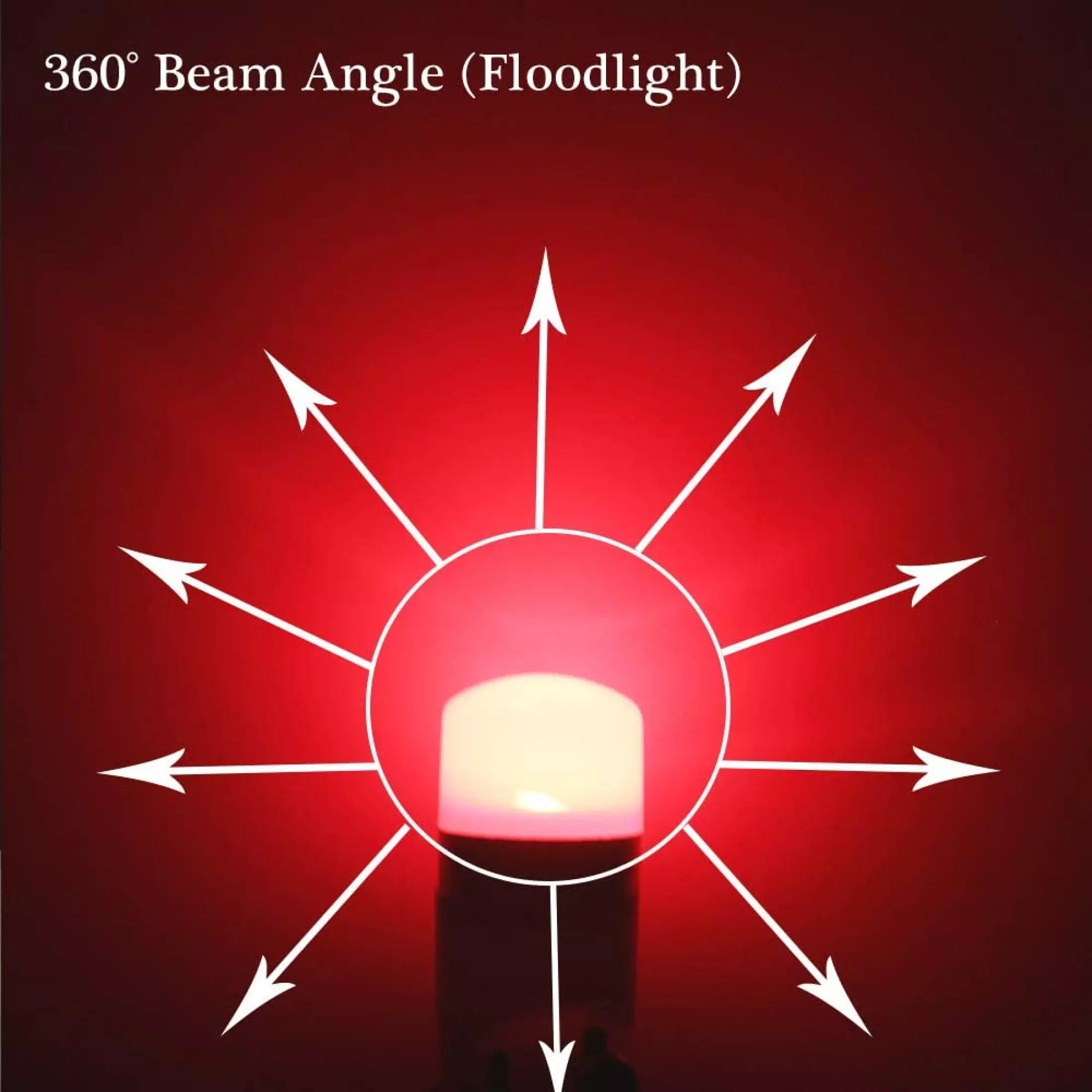 Decal SPORT MIND (39x15cm)