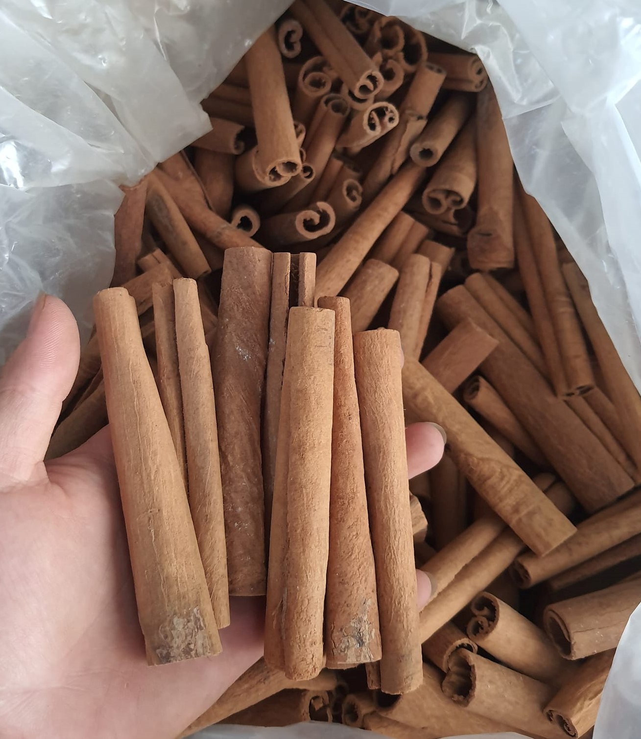 1kg quế cạo vỏ -  Trà quế