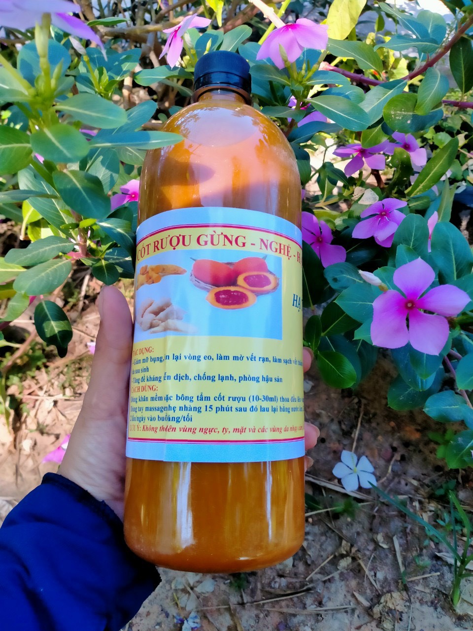 1 lít Ruou Gừng Nghệ Hạt gấc hạ thổ