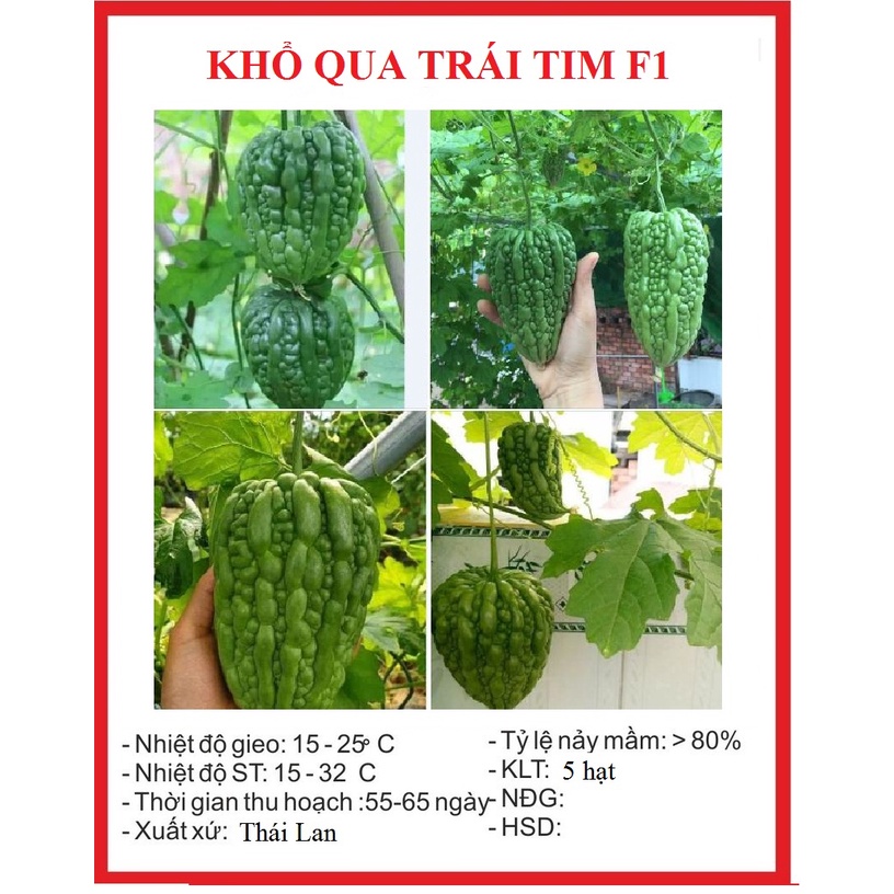 Hạt giống khổ qua trái tim xanh - Gói 5 hạt